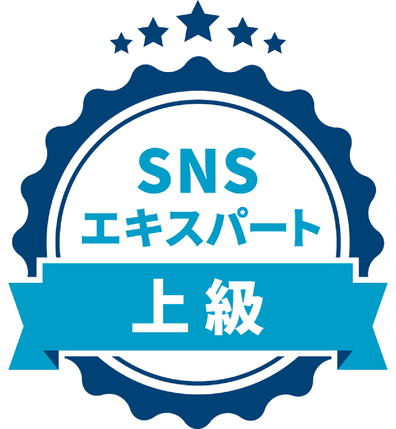 SNSエキスパート上級