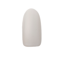 N13