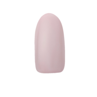 N19