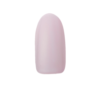 N20